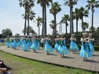 フラダンス　クラス写真3