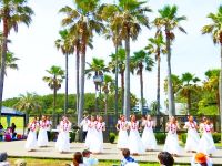 フラダンス　クラス写真4